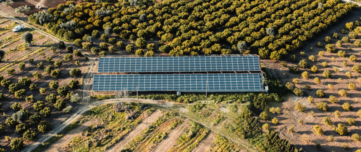 Aerial view of solar panels in the field